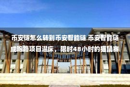 币安链怎么转到币安智能链 币安智能链成跑路项目温床，限时48小时的猫鼠赛跑，21个节点的开放金融迷局